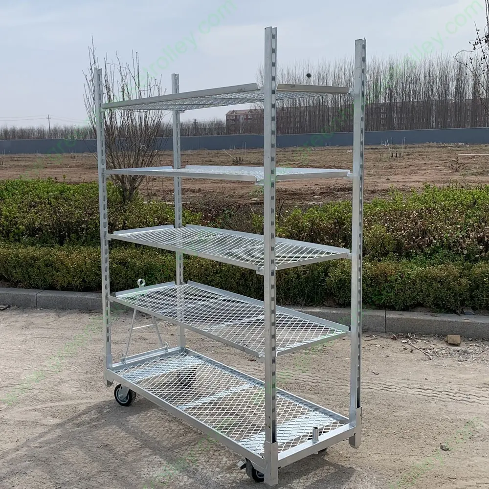 Galvanized Flower Trolley