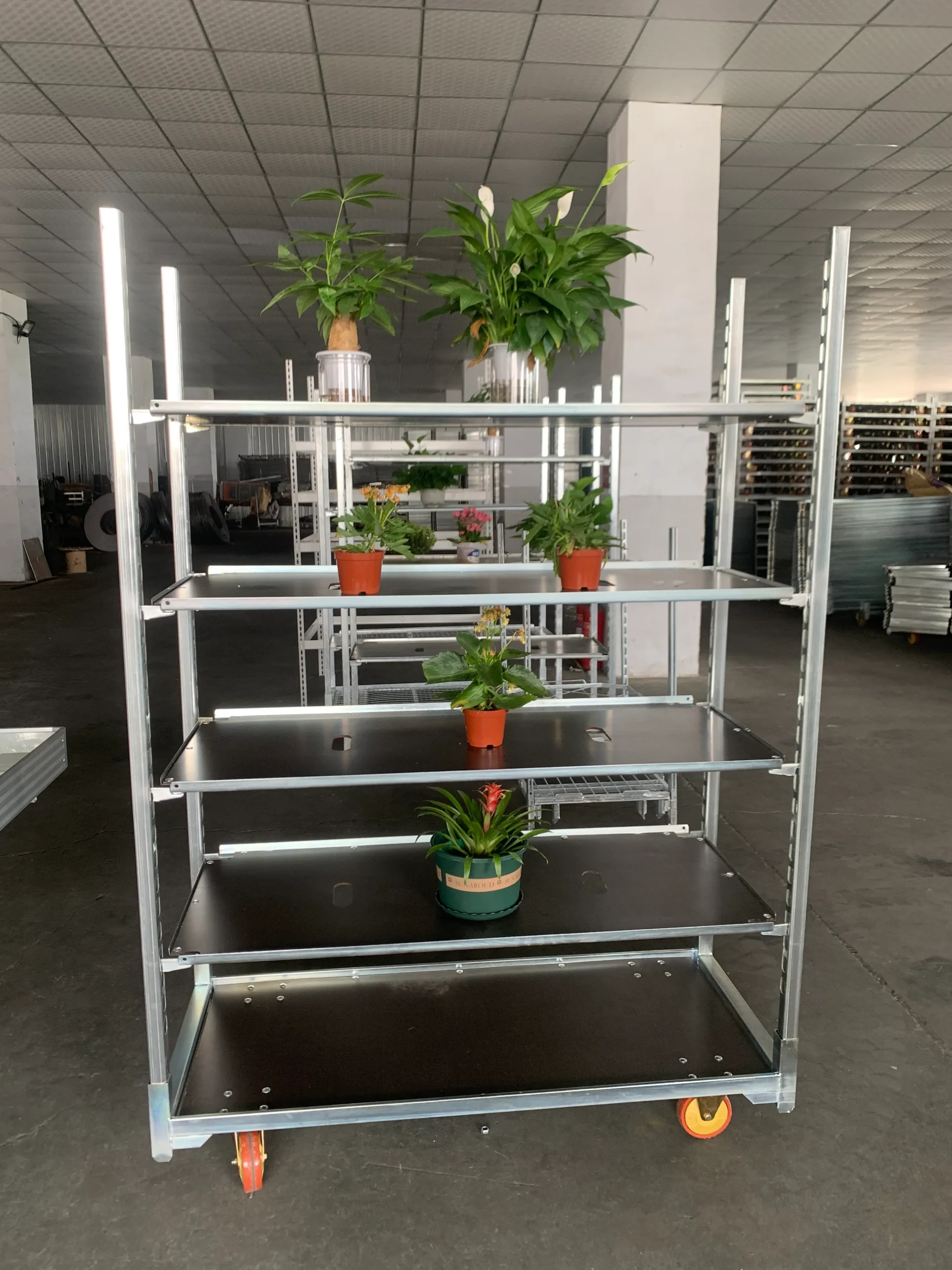 Nursery Display Cart