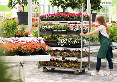 Über uns Bild unten