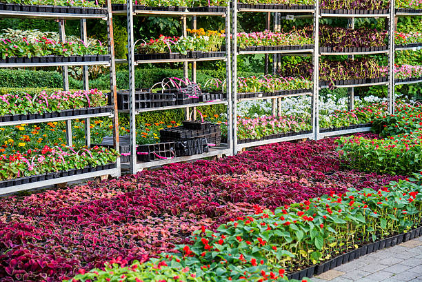 Flower Trolley