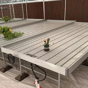 Ebb and Flow Yuvarlanan Büyüyen Yataklar