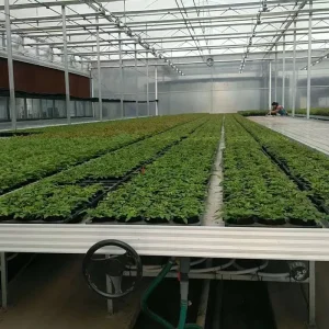 Özel Ebb ve Flow Tekerlekli Tezgahlar