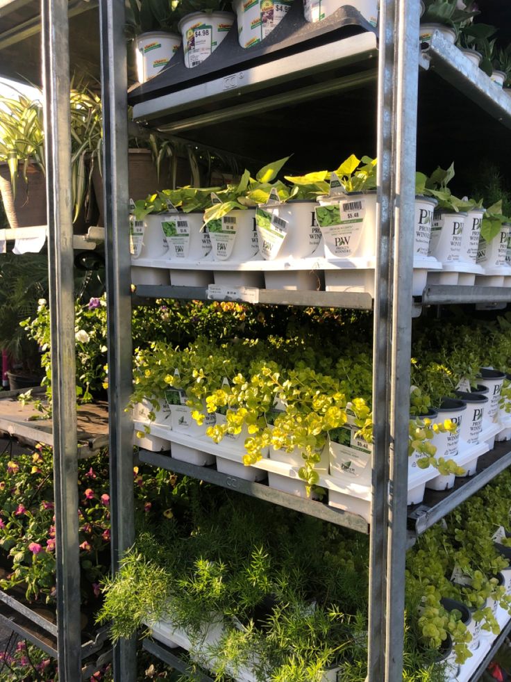 Danish Nursery Trolley