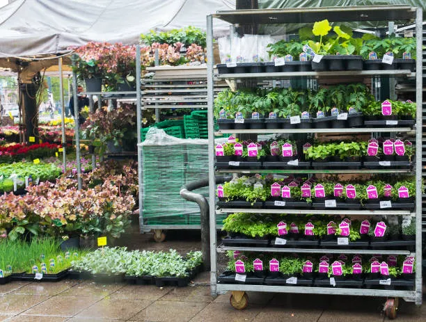 "Efficient Transport Solutions: Danish Flower Trolleys for Your Needs"