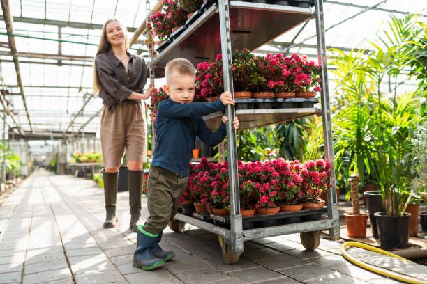 Versatile Picking Carts with Adjustable Shelves for Efficient Order Picking