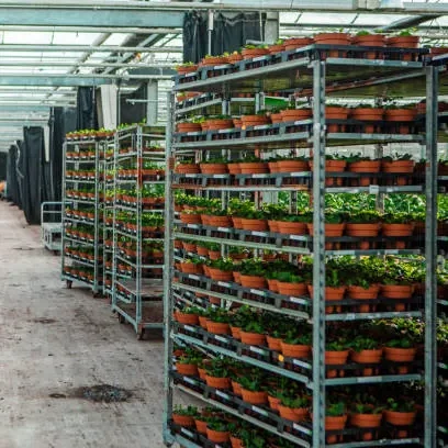 Danish Flower Trolleys