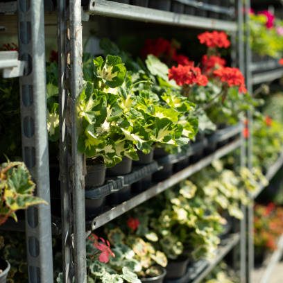 Danish Flower Pot Trolley