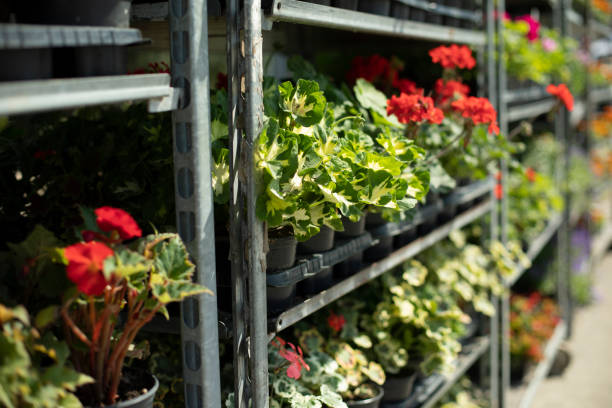 danish flower trolley