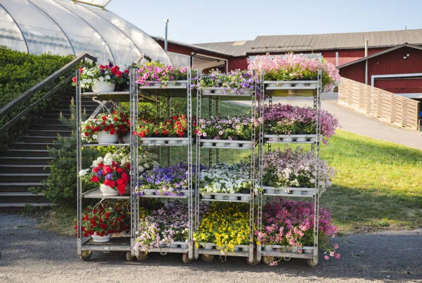 "Efficient Transport Solutions: Danish Flower Trolleys for Your Needs"