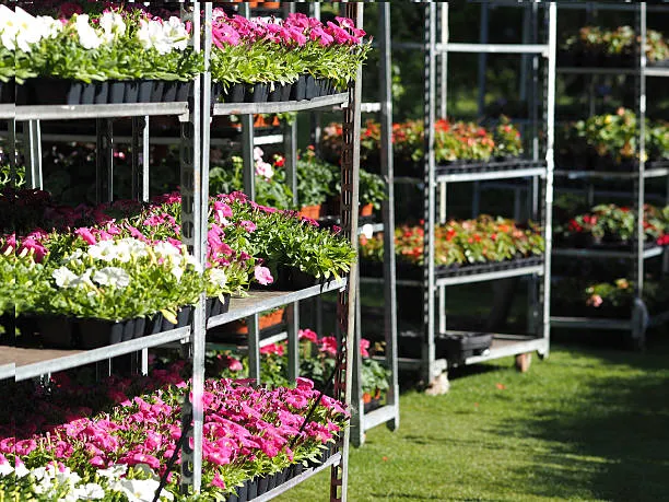 Versatile Danish Flower Trolley Cart with Wheels for Containers