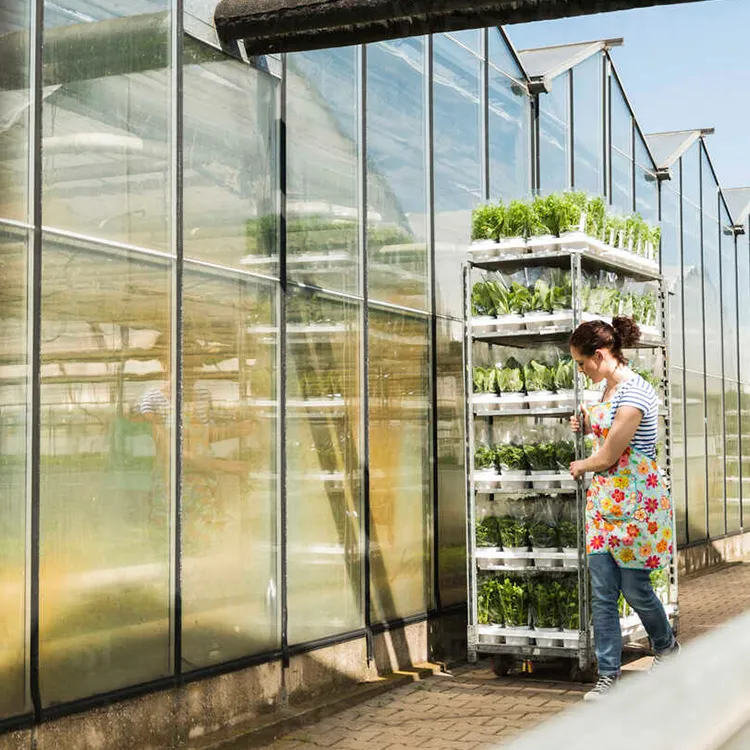 Danish Flower Pot Trolley