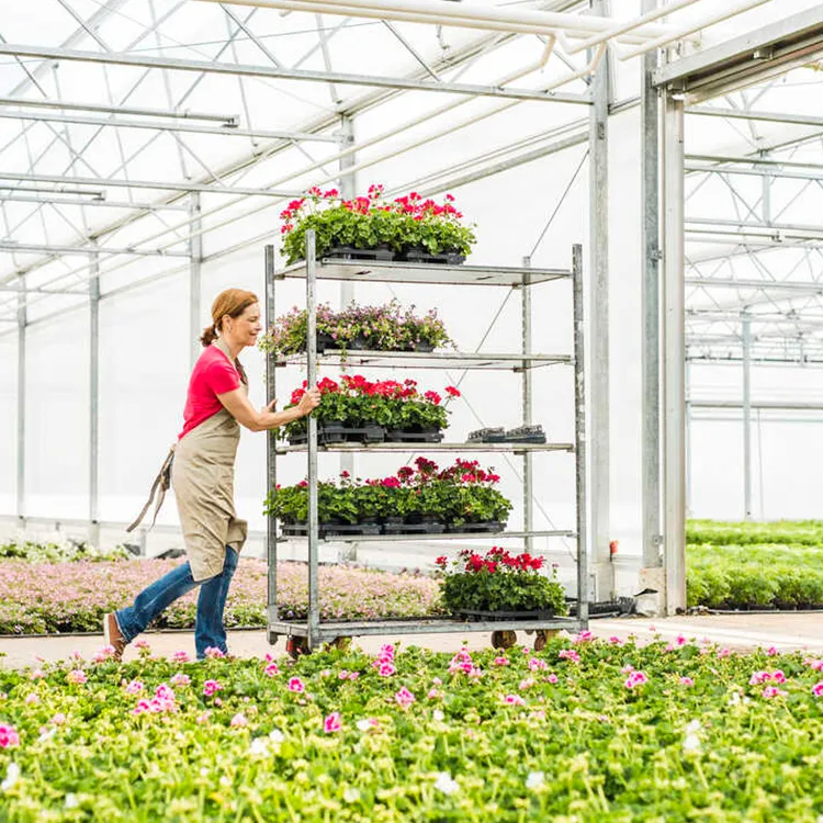 Danish Flower Trolley