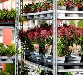 chariot pour pépinière de fleurs