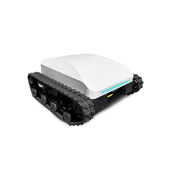 Electric Lawn Mover