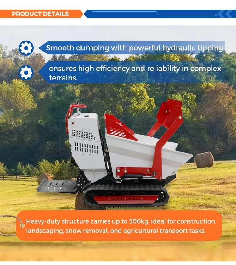 DUMP TRUCK